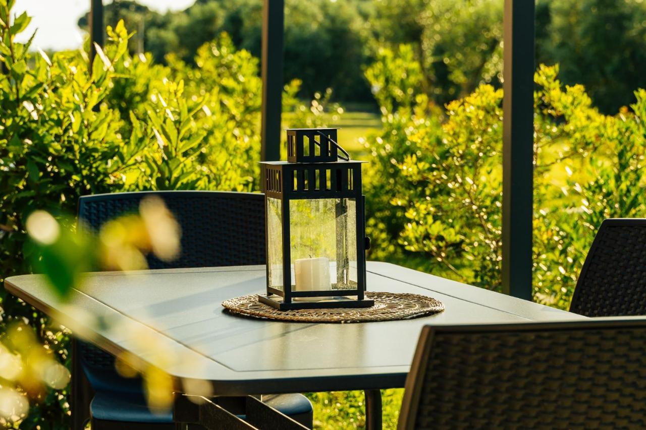 Agriturismo Belfiore In Maremma Marina di Grosseto Extérieur photo
